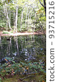The surface of the beautiful pond on the promenade of Tsutanuma 93715216
