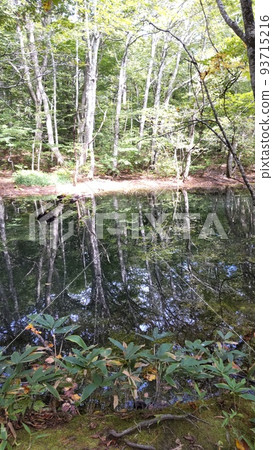 The surface of the beautiful pond on the promenade of Tsutanuma 93715216