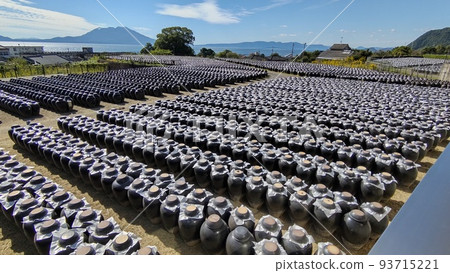 黑醋瓶和櫻島 黑醋瓶和櫻島 93715221