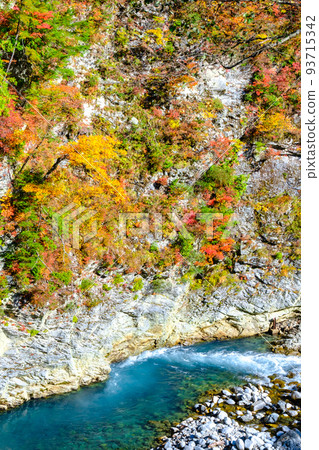 Kurobe Gorge (Autumn) Kurobe Gorge (Autumn) 93715342