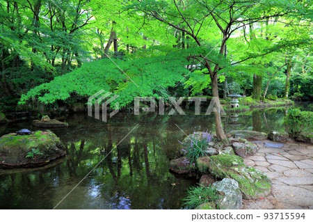 夏天在織田信長的宅邸漫步（岐阜縣岐阜市：岐阜公園） 93715594