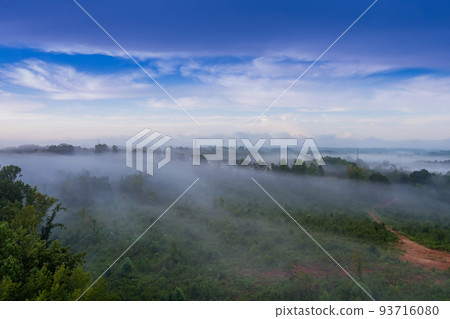 The mornings in South Carolina are often characterized by fog over the forest when the summer season is fully in effect The mornings in South Carolina are often characterized by fog over the forest when the summer season is fully in effect 93716080