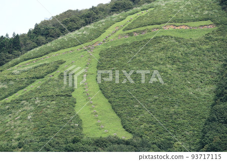 Odate City Phoenix Mountain capital letter Odate City Phoenix Mountain capital letter 93717115