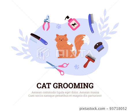 Cat grooming poster, cute cat with grooming equipment - flat vector illustration on white background. 93718052