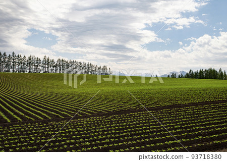 早春的十勝地球 93718380