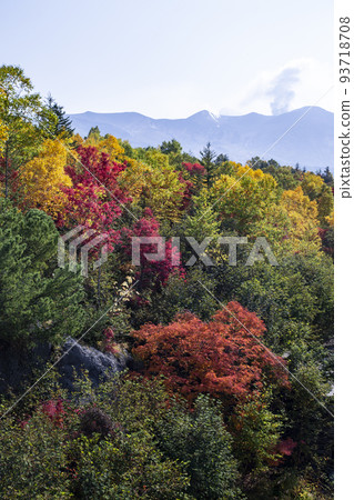 Autumn leaves of Tokachidake Autumn leaves of Tokachidake 93718708
