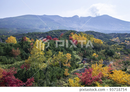 Autumn leaves of Tokachidake Autumn leaves of Tokachidake 93718754