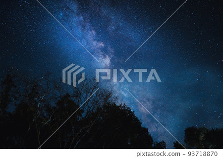 Night scene milky way background,Trees Against Sky At Night Night scene milky way background,Trees Against Sky At Night 93718870
