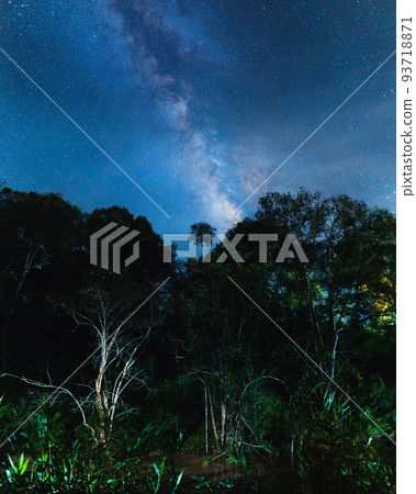Night scene milky way background,Trees Against Sky At Night Night scene milky way background,Trees Against Sky At Night 93718871