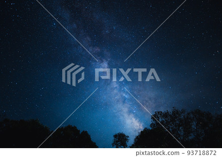 Night scene milky way background,Trees Against Sky At Night Night scene milky way background,Trees Against Sky At Night 93718872