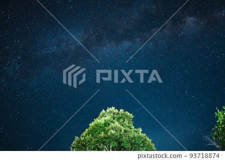 Night scene milky way background,Trees Against Sky At Night Night scene milky way background,Trees Against Sky At Night 93718874