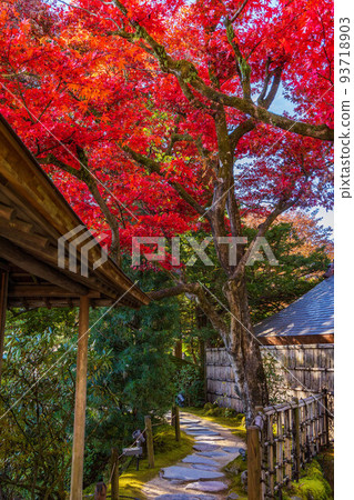 世界遺產“日光神社寺院”的日光山輪王寺 93718903