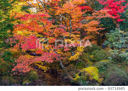 Nikkosan Rinno-ji Temple, part of the World Heritage "Shrines and Temples of Nikko" Nikkosan Rinno-ji Temple, part of the World Heritage "Shrines and Temples of Nikko" 93718985