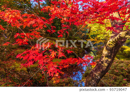 世界遺產“日光神社寺院”的日光山輪王寺 世界遺產“日光神社寺院”的日光山輪王寺 93719047