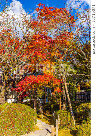 世界遺產“日光神社寺院”的日光山輪王寺 世界遺產“日光神社寺院”的日光山輪王寺 93719071