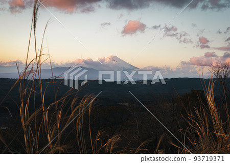 Mt. Fuji seen from the Izu Skyline/Sukumoyama parking lot 93719371