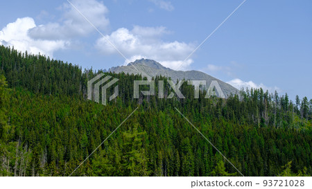 Hot summer day with light blue haze. Thick spruce forest. Mountain landscape with the huge rocky slopes of the High Tatras in Slovakia Hot summer day with light blue haze. Thick spruce forest. Mountain landscape with the huge rocky slopes of the High Tatras in Slovakia 93721028