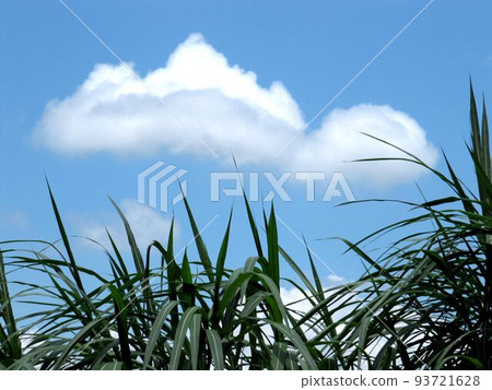 偉大的自然 偉大的自然 93721628