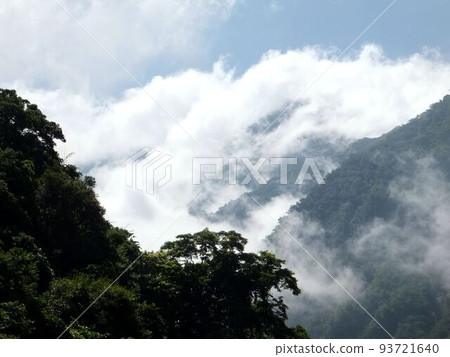 Nature Nature 93721640