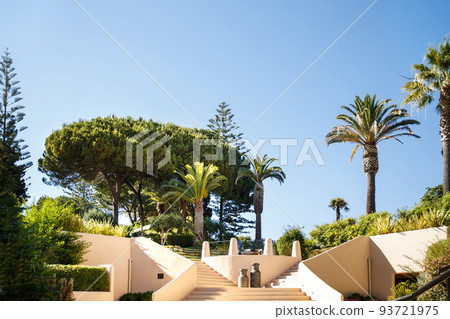 Stone stairs leading up, green plants, trees and palms Stone stairs leading up, green plants, trees and palms 93721975