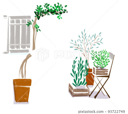 草藥和常春藤植物的插圖 草藥和常春藤植物的插圖 93722749