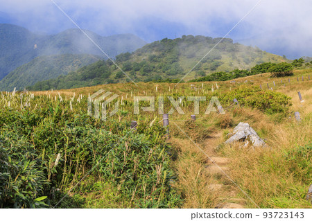 Mt. Ibuki in late summer 93723143