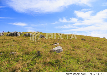 Mt. Ibuki in late summer 93723148