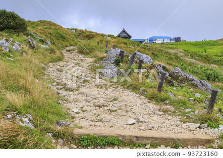 Mt. Ibuki in late summer 93723160