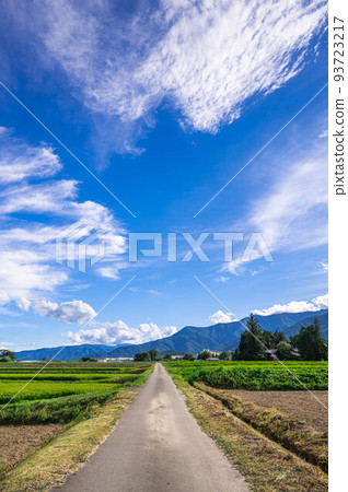Straight farm road Azumino Straight farm road Azumino 93723217