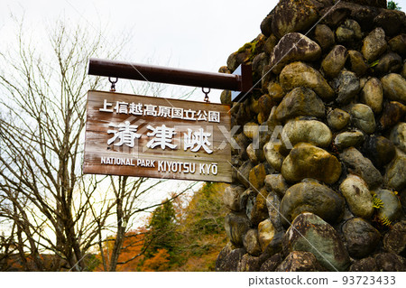 【新潟縣十日町市】清津峽 93723433