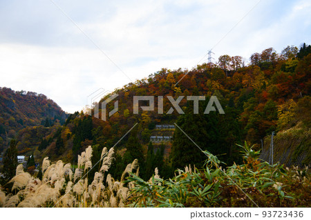 [Tokamachi City, Niigata Prefecture] Kiyotsu Gorge 93723436