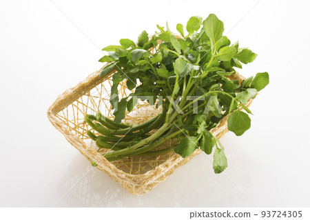 籃子裡的豆瓣菜 93724305