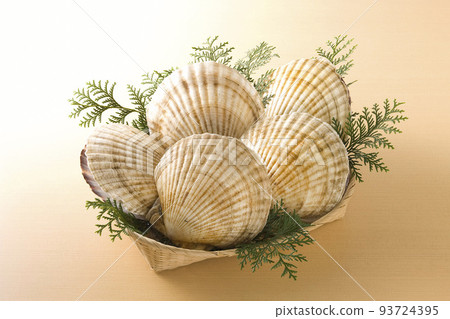 扇貝放在濾鍋裡 93724395