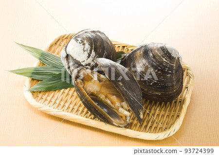 Northern clams piled up in a colander Northern clams piled up in a colander 93724399