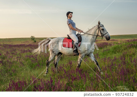 Horsewoman jockey in uniform riding horse outdoors Horsewoman jockey in uniform riding horse outdoors 93724832