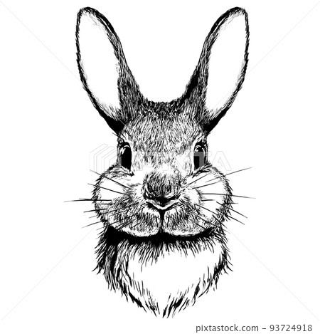 兔子剪貼畫 93724918