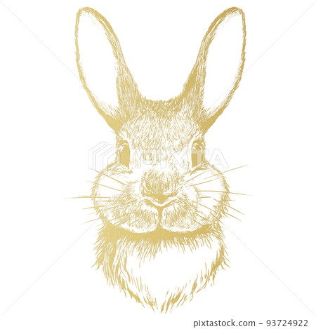 Rabbit clipart 93724922