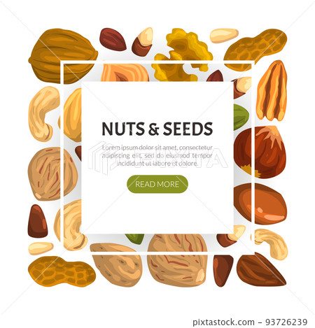 Nuts with Cashew and Almond Vector Banner Template 93726239