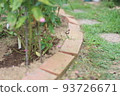 gardening  93726671