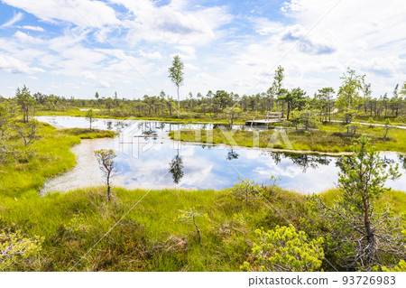 Resting area at the Great Kemeri Bog swamp at the Kemeri National Park in Latvia 93726983
