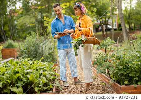 Couple with digital tablet work at vegetable garden Couple with digital tablet work at vegetable garden 93727231