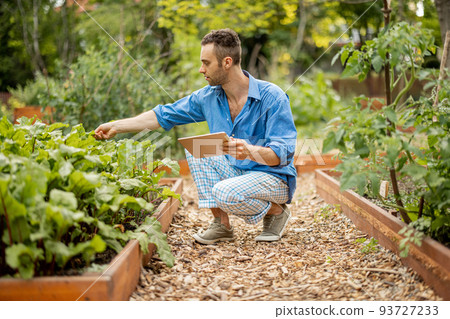 Farmer with digital tablet work at vegetable garden Farmer with digital tablet work at vegetable garden 93727233