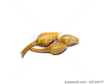 Close up of Spanish cherry, Tanjong Tree, Bunga Tanjung, Red Coondoo on white background. Close up of Spanish cherry, Tanjong Tree, Bunga Tanjung, Red Coondoo on white background. 93729777