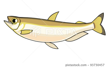 Illustration of shishamo with a child Illustration of shishamo with a child 93730457