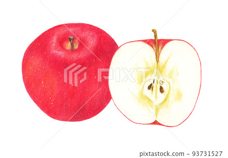 用彩色鉛筆繪製的富士蘋果的整體和橫截面 93731527