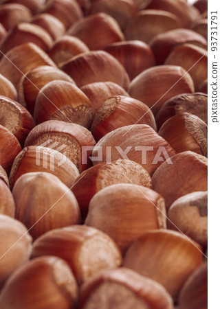 Closeup of some unopened hazelnuts 93731791