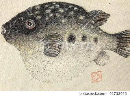 河豚魚 93732033