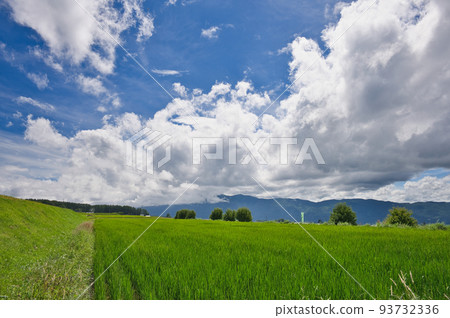 奇諾市田園風光 原生態 奇諾市田園風光 原生態 93732336