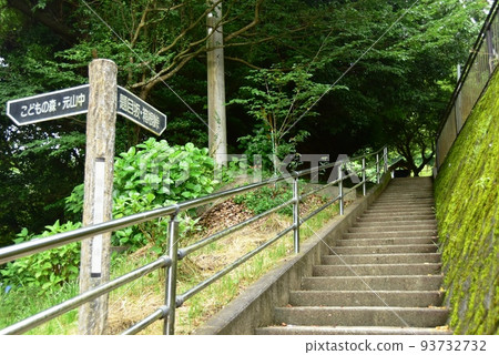 Mishima City Daimoku Sakamichi Shirube and fresh greenery on Nishizaka on the Hakone Old Highway 93732732