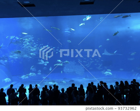 A huge tank at the Okinawa Aquarium A huge tank at the Okinawa Aquarium 93732962